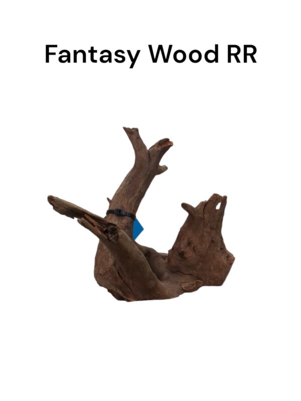 Fantasy Wood RR